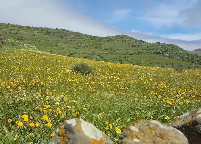 Casa Valle De Palmeras Prázdninový dům *